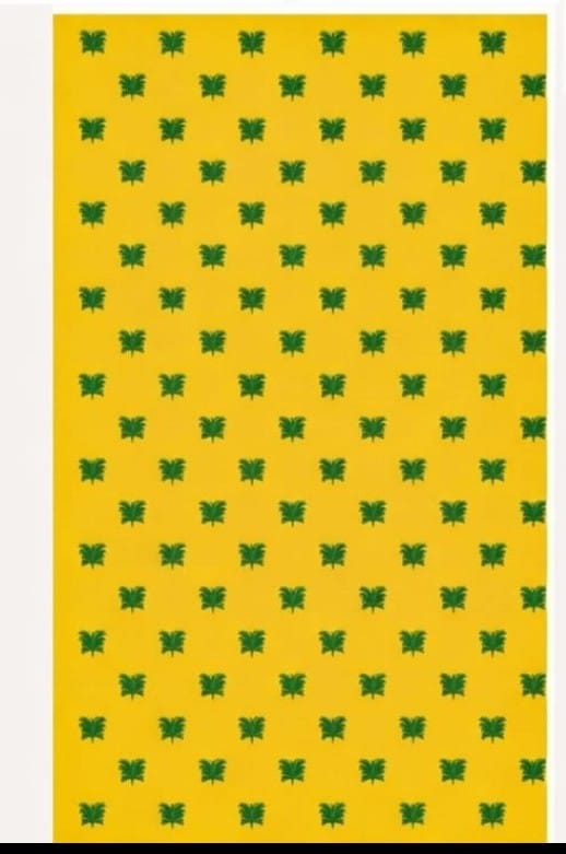 Yellow Backdrop (8x5ft)